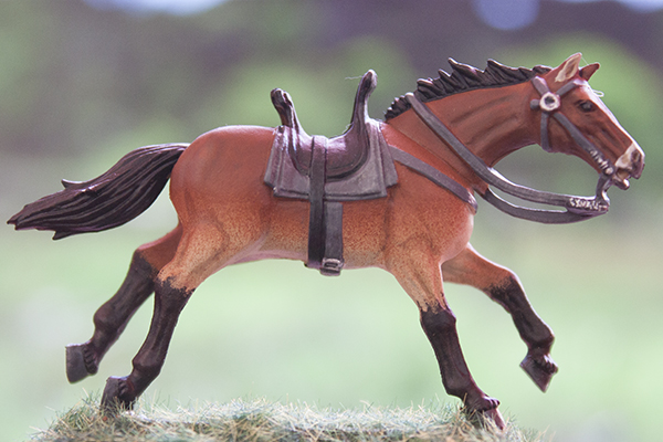 cheval de przewalski